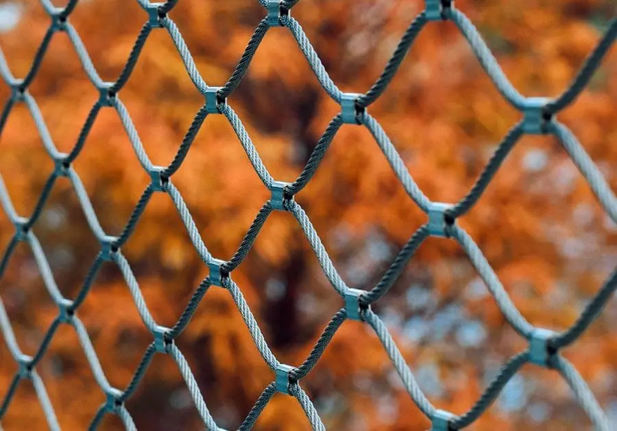 Promesh Parallel